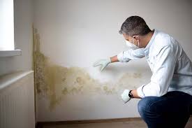 Best Biohazard Mold Removal  in Windy Hills, KY